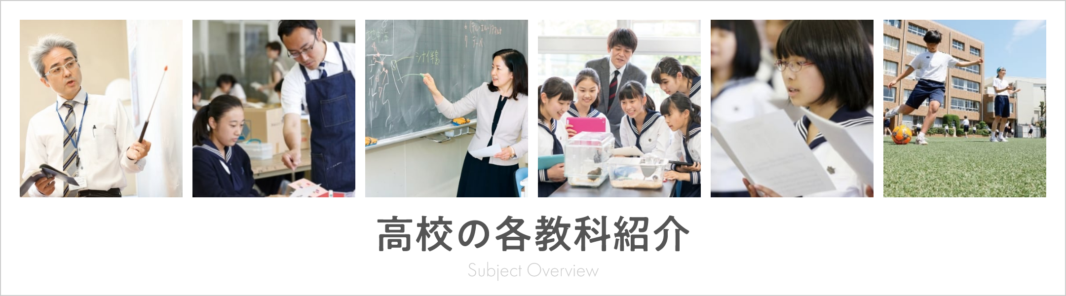 高校の各教科紹介