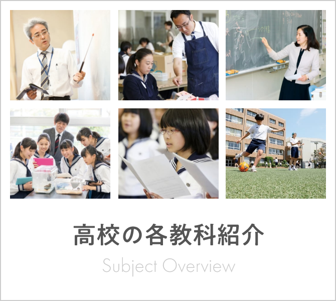 高校の各教科紹介(SP)
